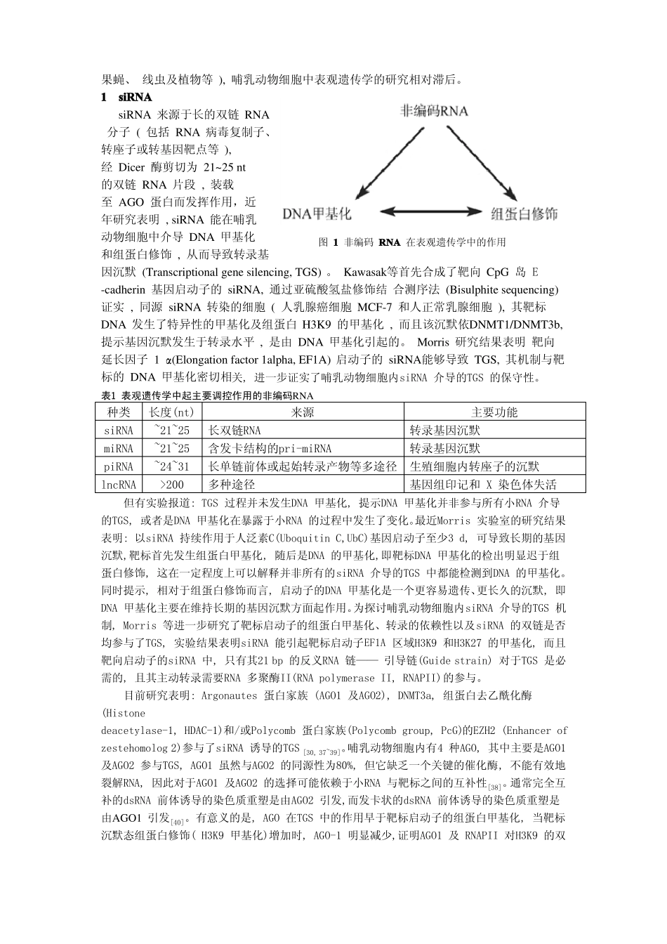 生物细胞非编码RNA的调控_第2页