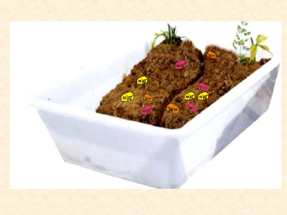 科学五年级上教科版38减少对土地的侵蚀2_第3页