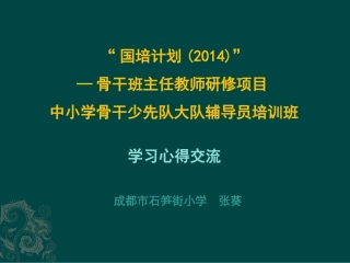 如何在少先队活动中进行社会主义核心价值观教育