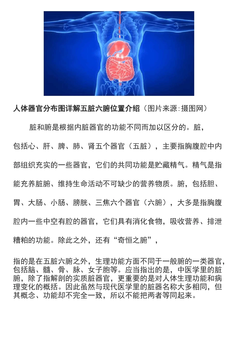 人体器官分布图详解 五脏六腑位置介绍_第2页