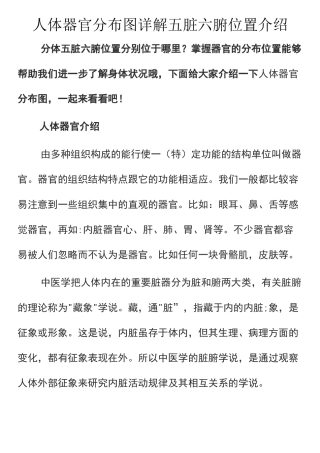 人体器官分布图详解 五脏六腑位置介绍
