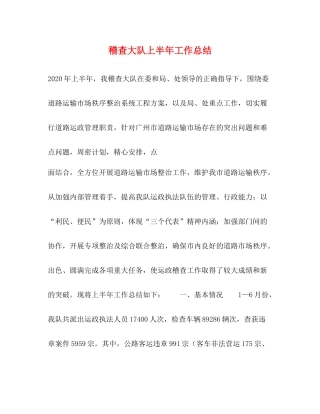 稽查大队上半年工作总结2