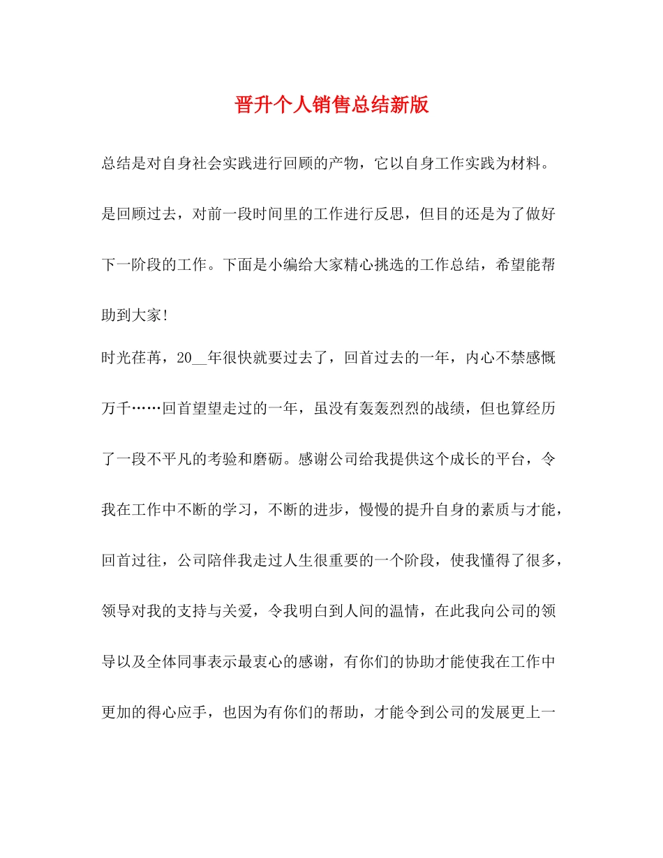 晋升个人销售总结新版_第1页