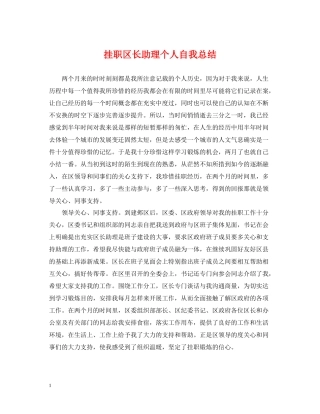 挂职区长助理个人自我总结