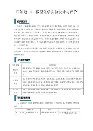 压轴题14 微型化学实验设计与评价(解析版)-高考化学压轴题专项训练(全 ...