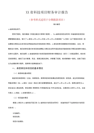 科技项目审计报告