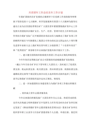 2020年共青团年工作总结及年工作计划