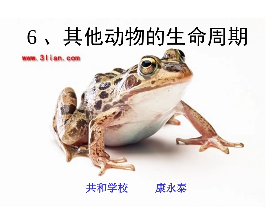 -其他动物的生命周期_第1页