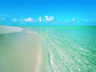 在金色的海滩上