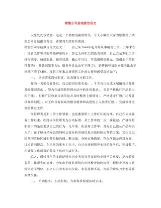 销售公司总结报告范文
