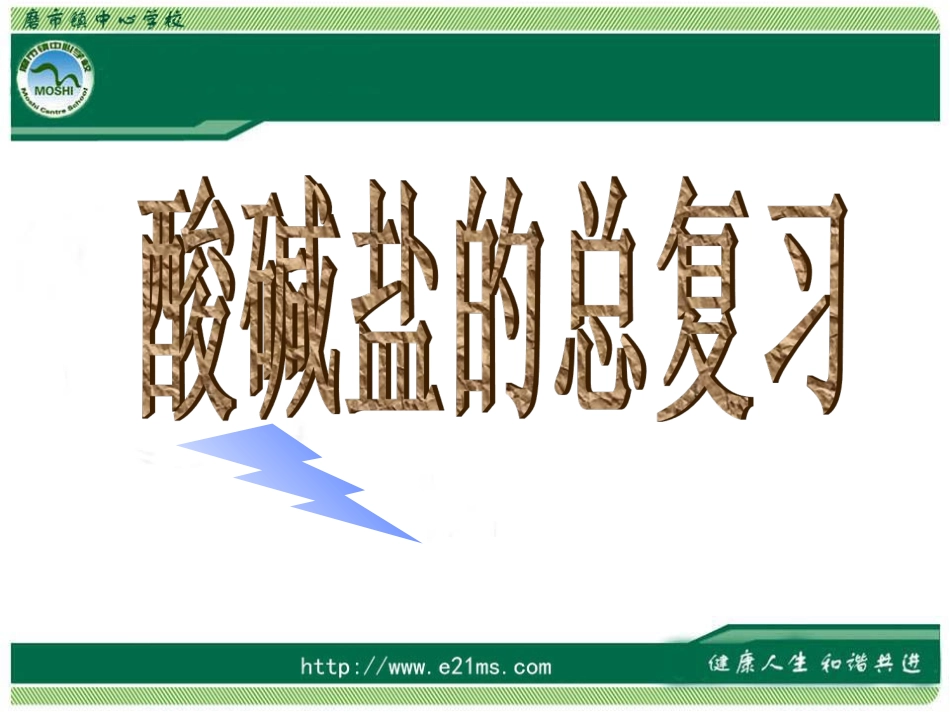 中考化学专题复习：酸碱盐总复习_第1页