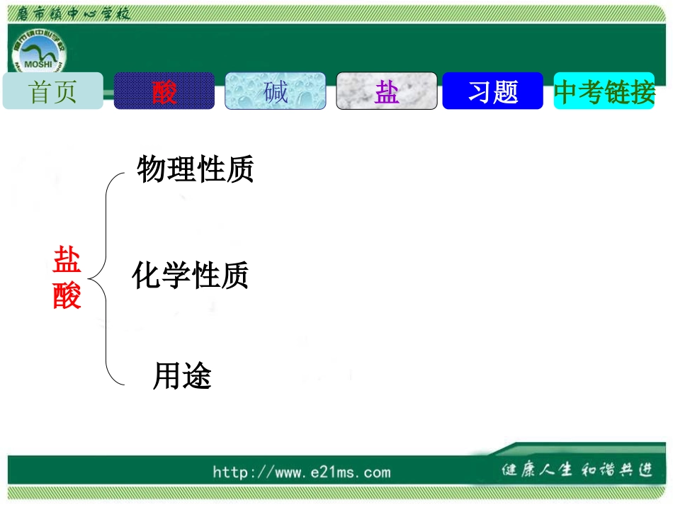 中考化学专题复习：酸碱盐总复习_第3页