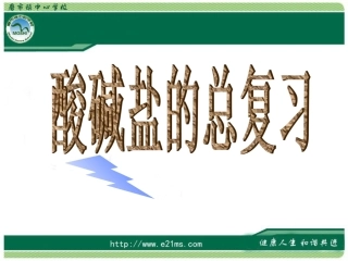 中考化学专题复习：酸碱盐总复习