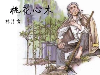 人教版桃花心木》课件——邓碧仪