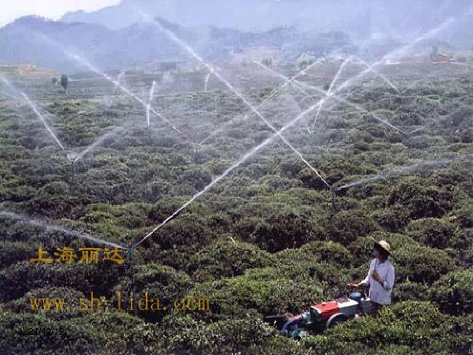 综合实践活动课件（珍惜水）_第3页