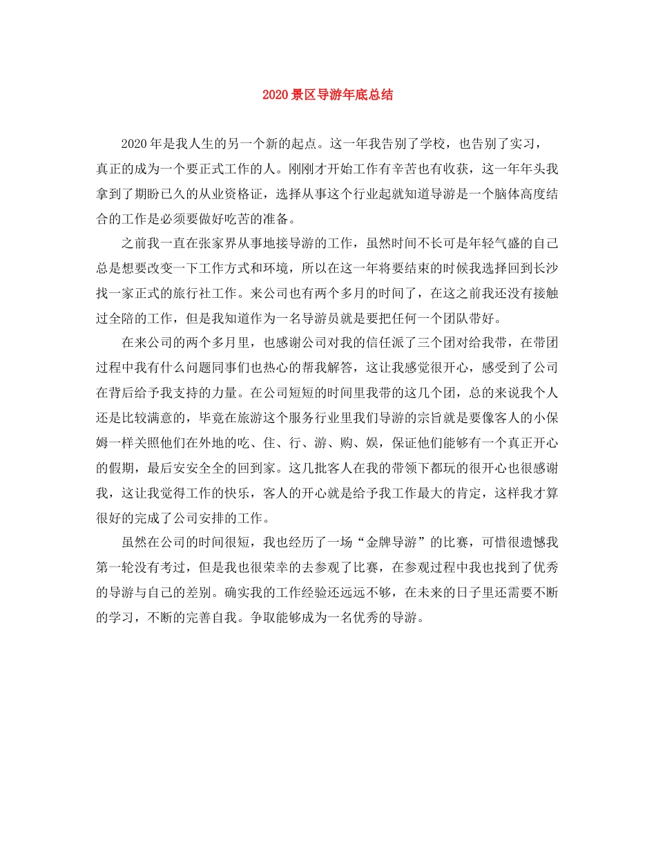 景区导游年底总结_第1页