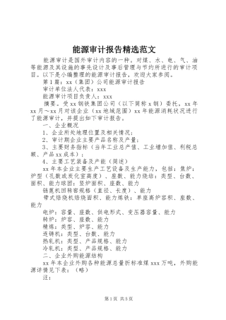 能源审计报告精选范文