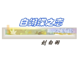 白蝴蝶之恋_白玉梅1
