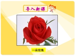 小鹿的玫瑰花 (2)