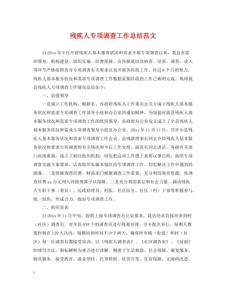 残疾人专项调查工作总结范文