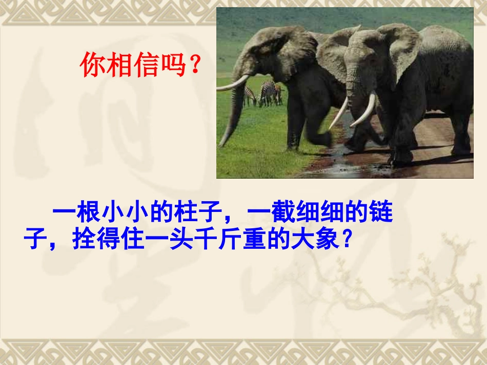 主题班会-拥抱真善美_好习惯伴我行_第2页