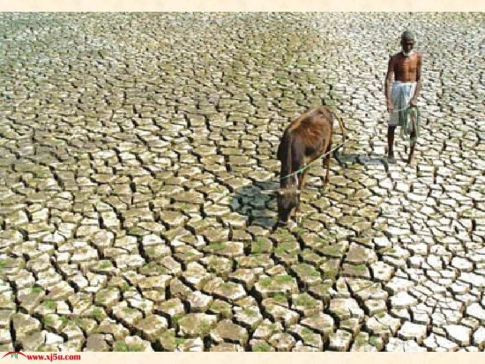 苏教版小学科学三年级下册《土壤的保护》PPT课件123_第1页