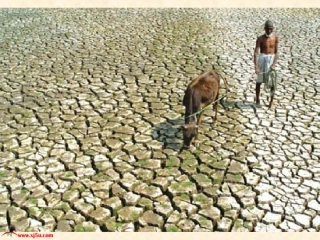 苏教版小学科学三年级下册《土壤的保护》PPT课件123