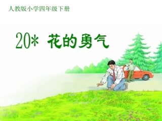 花的勇气课件