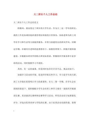 大二班长个人工作总结