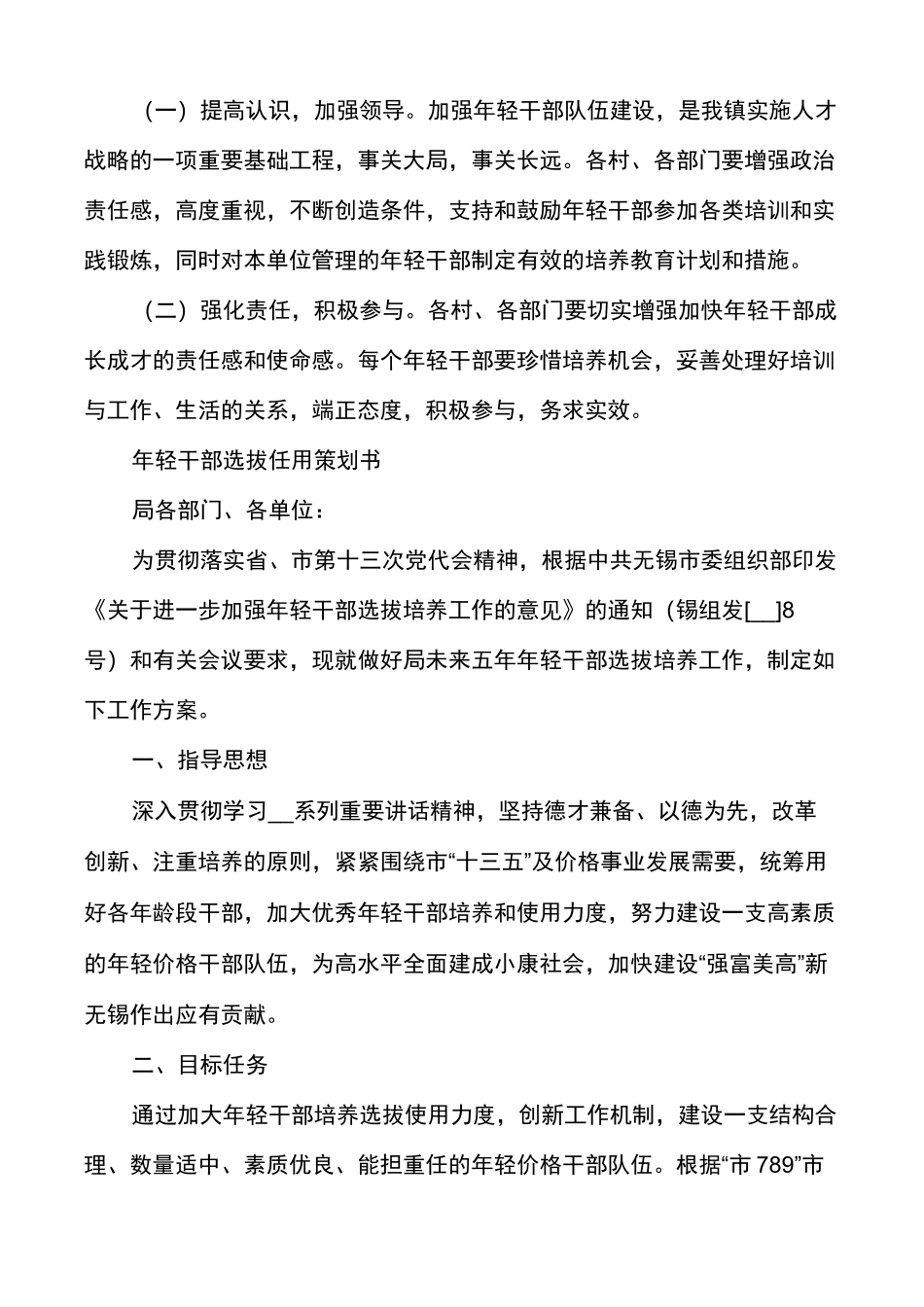 年轻干部选拔任用策划方案_第2页