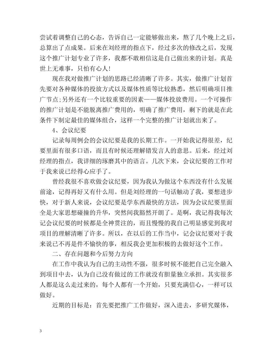 营销策划个人工作总结 _第3页