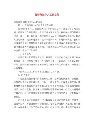 营销策划个人工作总结 