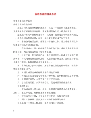 营销总监的自我总结 