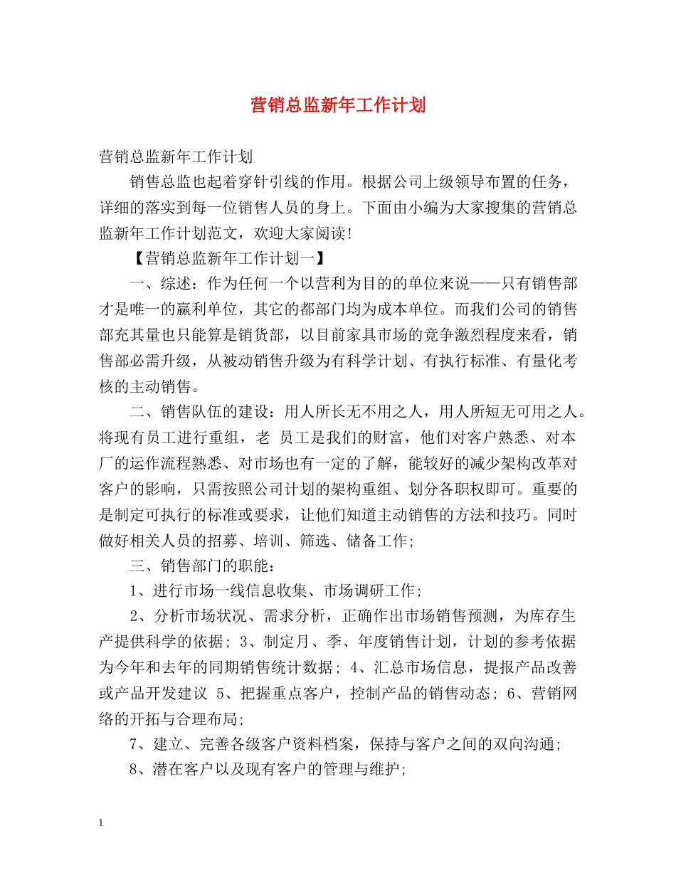 营销总监新年工作计划 _第1页