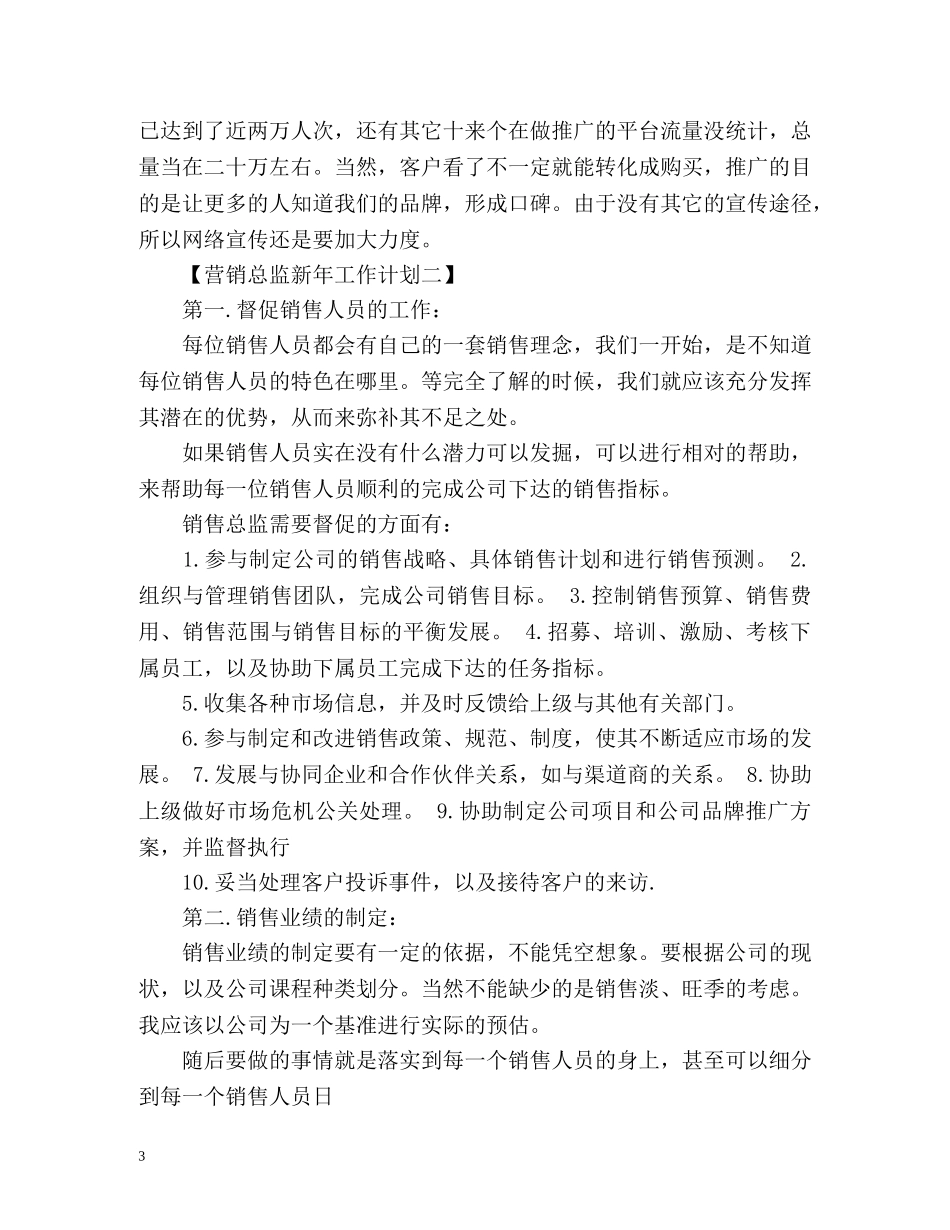 营销总监新年工作计划 _第3页