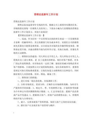 营销总监新年工作计划 