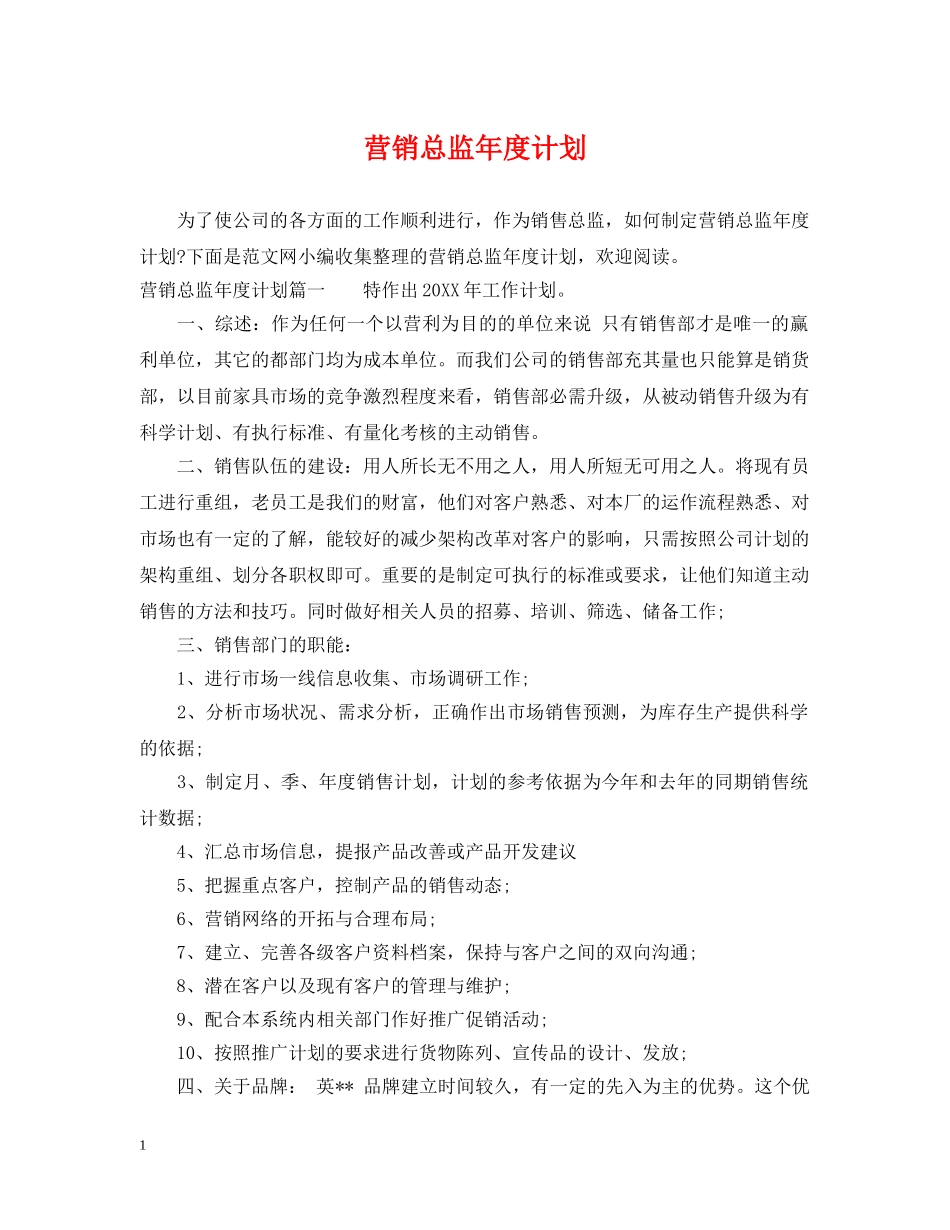 营销总监年度计划 _第1页