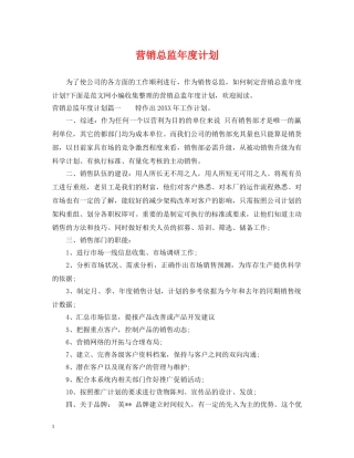 营销总监年度计划 