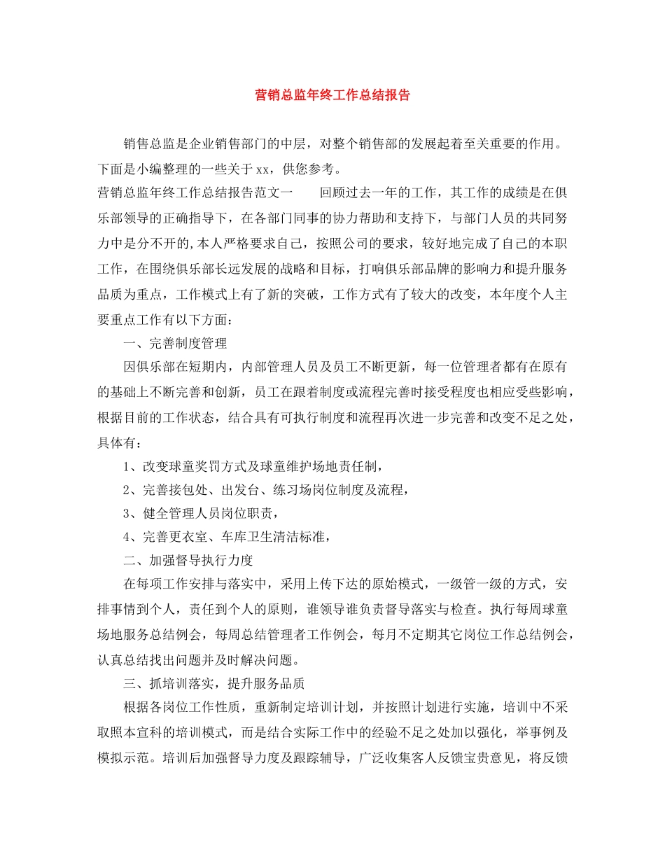 营销总监年终工作总结报告 _第1页