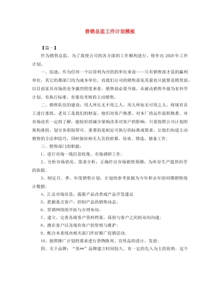 营销总监工作计划模板 
