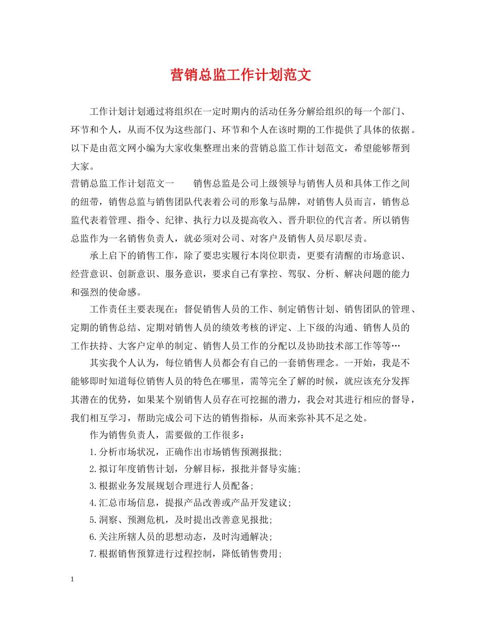 营销总监工作计划范文 _第1页