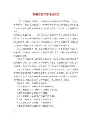 营销总监工作计划范文 