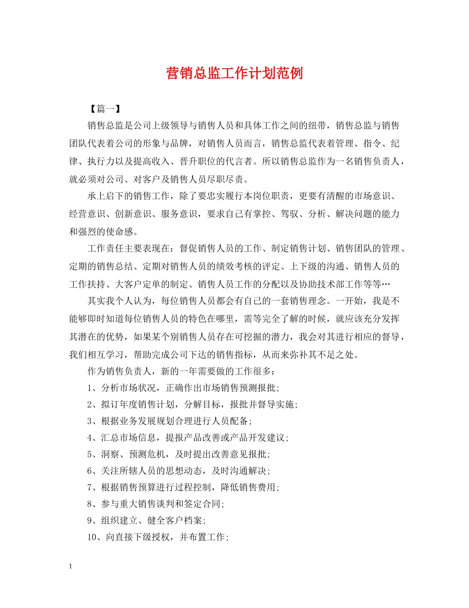 营销总监工作计划范例 _第1页