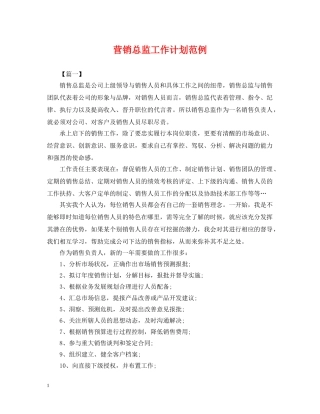 营销总监工作计划范例 