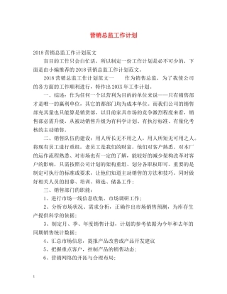 营销总监工作计划 