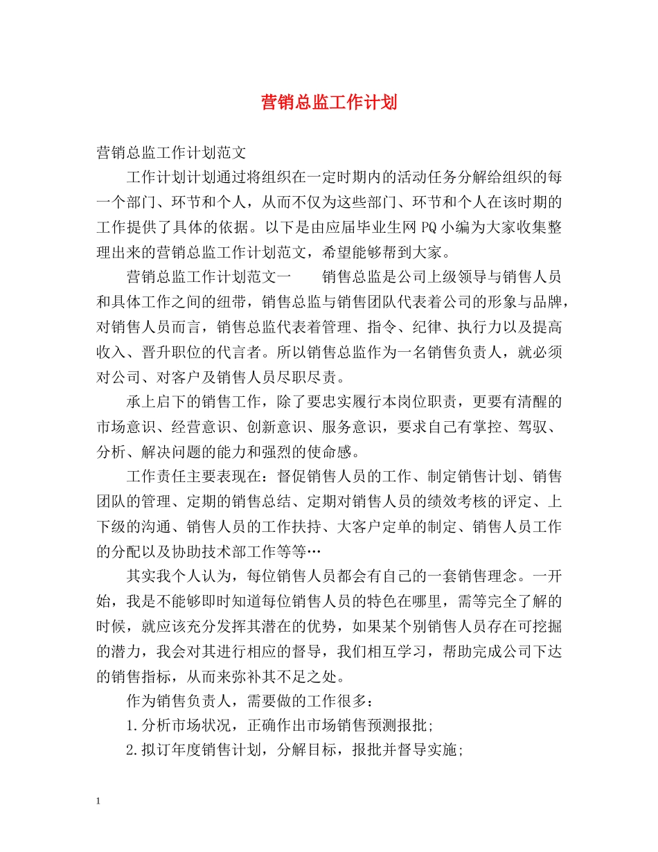 营销总监工作计划2 _第1页