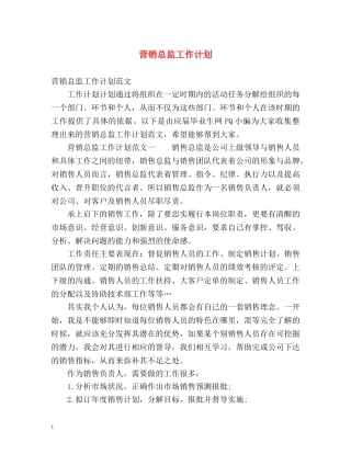 营销总监工作计划2 