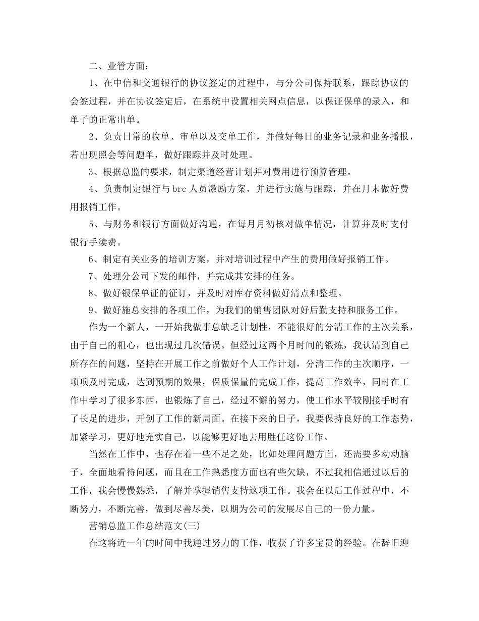 营销总监工作总结范文 _第3页
