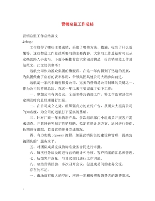 营销总监工作总结 