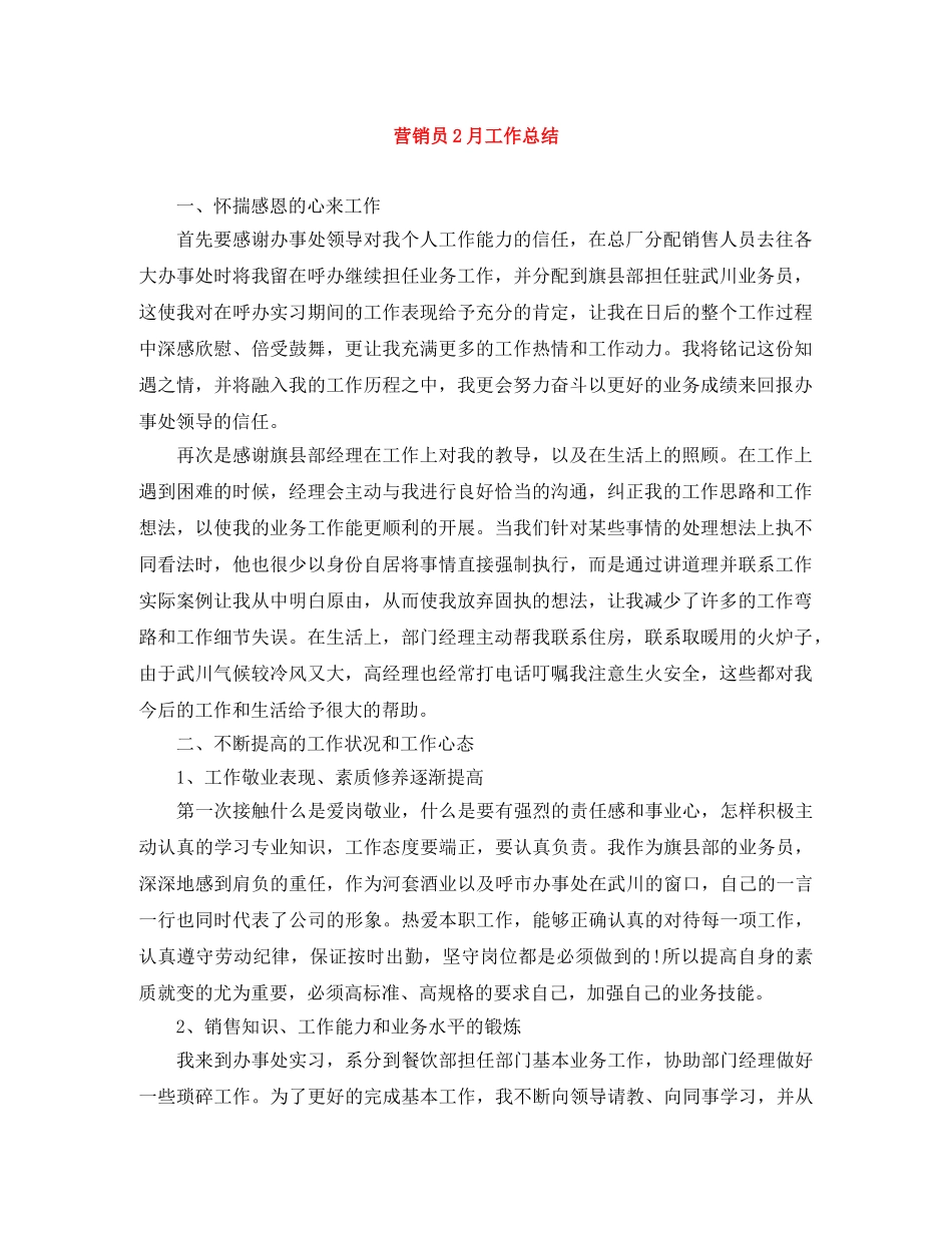 营销员2月工作总结 _第1页